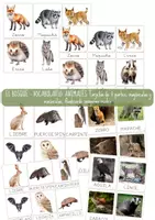 Vista previa - Refuerzo / NEE / Materiales de apoyo - EL BOSQUE: Vocabulario animales. - Portada