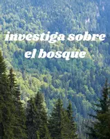 Vista previa - Hojas de trabajo - BOSQUE - Portada