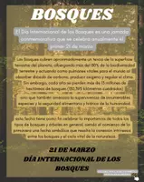 Vista previa - Hojas de trabajo - BOSQUE - página 1