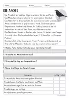 Vorschau - Arbeitsblätter - Lesen & Verstehen - Heimische Vögel (Klasse 1/2) - Seite 1