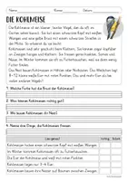 Vorschau - Arbeitsblätter - Lesen & Verstehen - Heimische Vögel (Klasse 1/2) - Seite 2
