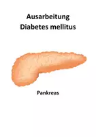 Vorschau - Unterrichtsreihen - Ausarbeitung Diabetes mellitus - Deckblatt