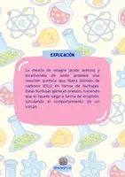 Vista previa - Unidades / Secuencias / Situaciones de Aprendizaje - PEQUEÑOS CIENTÍFICOS - Guía de experimentos caseros - página 3