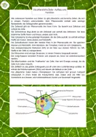 Vorschau - Text - Die pflanzliche Zelle: Zellorganellen und deren Funktionen (Sachtext+Interactive) - Deckblatt