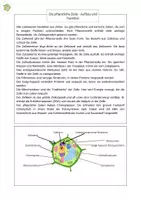 Vorschau - Text - Die pflanzliche Zelle: Zellorganellen und deren Funktionen (Sachtext+Interactive) - Seite 1