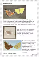 Vorschau - Mal- und Bastelvorlagen - Heimische Schmetterlinge Fensterbilder und Bildkarten Frühling Sommer - Seite 1