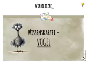 Vorschau - Bildkarten - Wissenskartei Vogel: INTERAKTIV - Seite 1