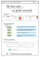 Vorschau - Arbeitsblätter - Sensorisch Prüfen - Sinne - Ernährung und Soziales ES - Deckblatt