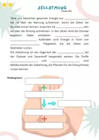 Vorschau - Arbeitsblätter - Zellatmung: Was brauchen unsere Zellen? (inkl. interaktivem Quiz) - Seite 3