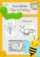 Vorschau - Mal- und Bastelvorlagen - Tiere Wiese Insekten Frühling Ausmalbilder Kunst Vorschule - Deckblatt