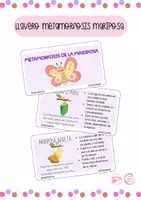 Vista previa - Tarjetas / Manipulativos - LLAVERO CICLO DE VIDA DE LA MARIPOSA - Material colaborativo - Portada
