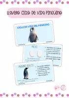 Vista previa - Tarjetas / Manipulativos - LLAVERO CICLO DE VIDA DEL PINGÜINO - Material colaborativo - Portada