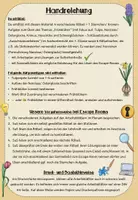Vorschau - Arbeitsblätter - Escape Room - Frühblüher (Klasse 1) - Seite 1