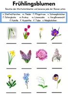 Vorschau - Arbeitsblätter - Frühlingsblumen – Wortschatz & Sprechübungen - Seite 1