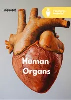 Vorschau - Unterrichtsreihen - Human Organs - Teaching Material | WORKBOOK (Bilingual) - Deckblatt