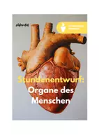 Vorschau - Stundenentwürfe - Stundenentwurf: Das Herz und der Blutkreislauf – Funktionsweise und Bedeutung (+ WEITERE ORGANE) - Seite 1