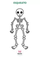 Vista previa - Unidades / Secuencias / Situaciones de Aprendizaje - CUERPO HUMANO LAPBOOK - página 2