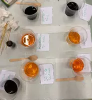 anteprima - Programmi scolastici / Materiali per docenti - Relazione di laboratorio - ricerca amido negli alimenti - Pagina di copertina