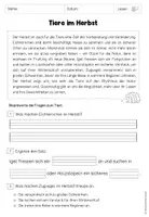 Vorschau - Unterrichtsreihen - Herbst - Lesetexte mit Fragen (inkl. Lösung) für Klasse 2 bis 4 - Seite 3