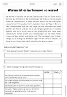 Vorschau - Unterrichtsreihen - Sommer - Lesetexte mit Fragen (inkl. Lösung) für Klasse 2 bis 4 - Seite 2