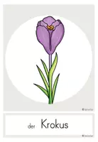 Vorschau - Poster - Frühblüher - Bildkarten Wortschatzspeicher Klasse 1/2 - Seite 3