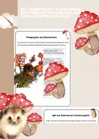Vorschau - Mal- und Bastelvorlagen - DIY Herbstdeko Fliegenpilze aus Eierkarton und Igel aus Tannenzapfen basteln - Deckblatt