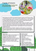 anteprima - Programmi scolastici / Materiali per docenti - Caccia al tesoro naturalistica - Pagina 1