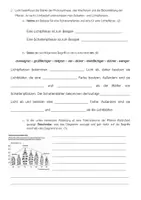 Vorschau - Test - Kurzkontrolle biotische und abiotische Faktoren 7. Klasse - Seite 1