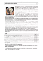 Vorschau - Arbeitsblätter - differenzierte Lesetexte Albert Einstein - Seite 3