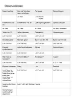 Voorbeeld - Observatie werkboekje kleuters naar groep 3 - Pagina 2