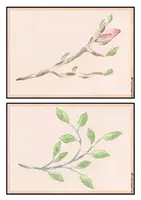 Vorschau - Mal- und Bastelvorlagen - Ampel Verhalten / Lautstärke - Thema Natur / Blumen - Seite 2