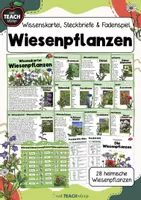 Vorschau - Arbeitsblätter - Die Wiese - Themenpaket - Seite 1