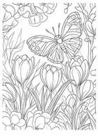 Vorschau - Arbeitsblätter - Frühlingsmandalas Blumenmandalas Blumen Achtsamkeit Mandala - Seite 3