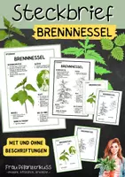 Vorschau - Arbeitsblätter - Steckbrief Brennnessel | Grundschule & Sekundarstufe 1 | Klasse 3 bis 7 - Deckblatt