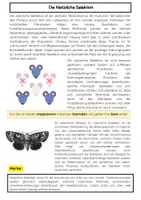 Vorschau - Arbeitsblätter - Natürliche Selektion Evolution Biologieunterricht - Seite 1