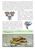 Vorschau - Arbeitsblätter - Natürliche Selektion Evolution Biologieunterricht - Seite 2