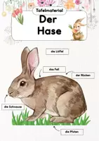 Vorschau - Poster - Der Hase Tafelmaterial | Legekreis Hase - Deckblatt