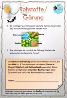 Vorschau - Arbeitsblätter - Rund ums Bier: Herstellung, Arten, Rohstoffe, Berechnungen - Seite 2