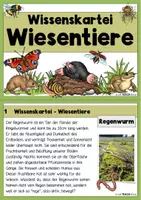 Vorschau - Arbeitsblätter - Wiesentiere - Wissenskartei & Arbeitsheft - Seite 1