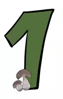 Vorschau - selbst erstellte Cliparts/Grafiken - Cliparts - Wald (Nadelbäume, Laubbäume, Früchte) - Seite 2
