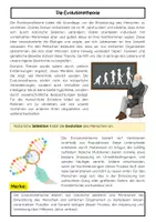 Vorschau - Arbeitsblätter - Evolution des Menschen: Genetik, Homininen und Homo sapiens - Seite 1