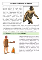 Vorschau - Arbeitsblätter - Evolution des Menschen: Genetik, Homininen und Homo sapiens - Seite 2