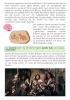 Vorschau - Arbeitsblätter - Evolution des Menschen: Genetik, Homininen und Homo sapiens - Seite 3