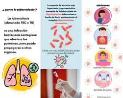 Vista previa - Para docentes: organización, planificación y formación - 23 de marzo- Día mundial de la tuberculosis (folleto) - página 2
