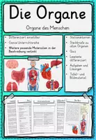 Vorschau - Stundenentwürfe - Materialpaket Organe und Verdauung - Deckblatt