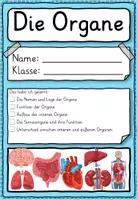 Vorschau - Stundenentwürfe - Arbeitsheft - Organe des Menschen Klasse 3, 4, 5 - Seite 1