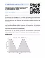 Vorschau - Arbeitsblätter - Materialpaket: Konjunkturzyklus inkl. Übungen (Ländervergleich bis 2024) - Seite 1