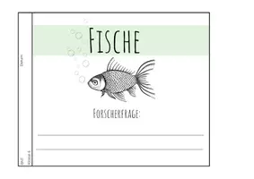Vorschau - Stundenentwürfe - Fische - Eine Stationenarbeit mit Flipbook und Lösungen - Seite 3