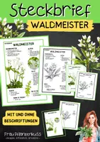 Vorschau - Arbeitsblätter - Steckbrief Waldmeister | Grundschule und Sekundarstufe 1 | Klasse 3 bis 7 - Deckblatt
