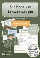 Vorschau - Arbeitsblätter - Schweineaugen sezieren/ präparieren // Sinnesorgane - Deckblatt